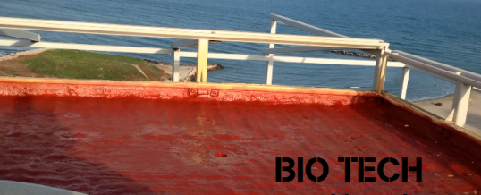 Termo- Hidroizolatie Terasa Downtown Building